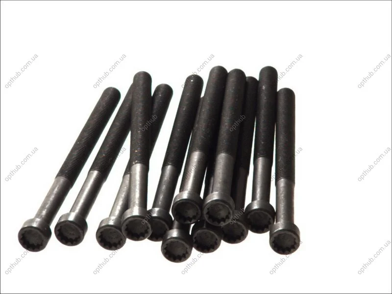Болт головки блоку (компл.) VAG 2.5TDI AXD/AXE/BAC/BLJ/BLK/BNZ/BPC/BPD/BPE (вир-во Elring) C.I.U ELRING 326.430 (фото 1)