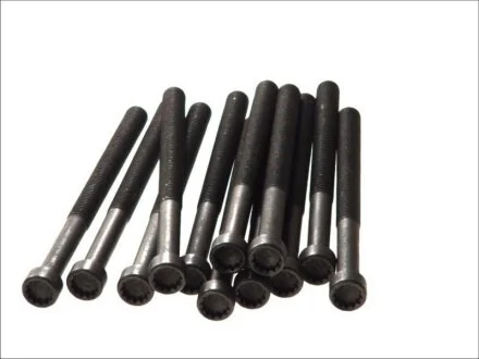 Болт головки блоку (компл.) VAG 2.5TDI AXD/AXE/BAC/BLJ/BLK/BNZ/BPC/BPD/BPE (вир-во Elring) C.I.U ELRING 326.430