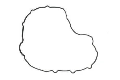 Прокладка клапанної кришки MAZDA 2,2 R2AA/R2BF 08- (вир-во Elring) ELRING 341.010