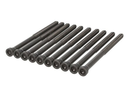 Комплект болтів головки циліндра VAG 2.0TDI CKFB/CKFC/CRLB/CRBC/CRMB/CRUA/CNHC 08- C.I.U ELRING 351.900