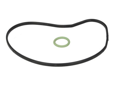 Комплект прокладок, водяний насос BMW N62/N73 C.I.U ELRING 359.200