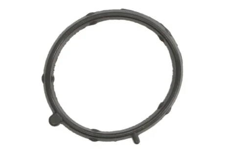 Прокладка корпус впускного колектора FIAT DOBLO 1.9D 188 A3/223 A6 (4) (вир-во Elring) ELRING 375.240