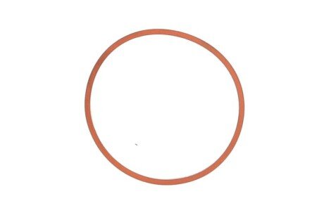 Прокладання впускного колектора ELRING 393.930