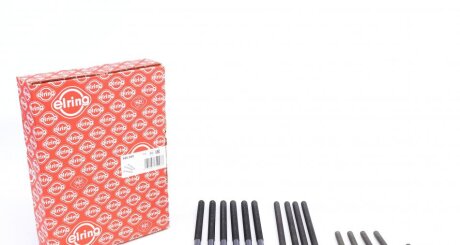 Комплект болтів головки блоку циліндрів 15 шт BMW N20 C.I.U ELRING 426.890