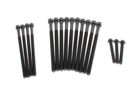 Комплект болтів головки блоку циліндрів 18 шт BMW N55 B30 C.I.U ELRING 459.450