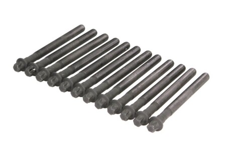 Болти головки (к-кт 12шт.) BMW 3 (E90)/5 (E60) 04-11 S65 (opt-om) ELRING 460.030