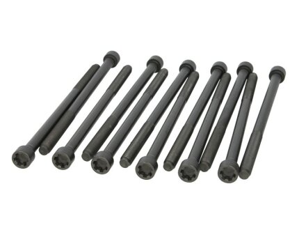 Болты ГБЦ (к-кт 12шт).) Fiat Croma 2.4D 05- ELRING 497410