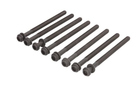 Комплект болтів головки цилідра (2) ELRING 586.360