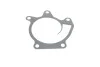 Прокладка помпи води Nissan Qashqai/X-Trail/Renault Espace V/Megane IV 1.6/2.0 10- UA63 ELRING 703.390 (фото 2)