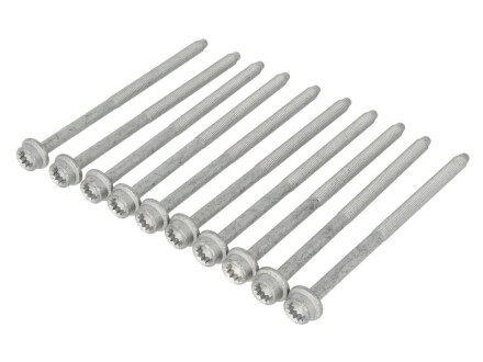 Болти головки (к-кт 10шт.) VW Caddy II 1.4 95-03/Skoda Fabia 1.2 01-07 UA63 ELRING 725.310