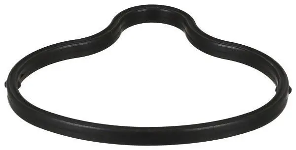 Прокладка впускного колектора BMW 5 (E60), 5 (E61), 6 (E63), 6 (E64) 5.0 09.04-12.10 ELRING 727.920 (фото 1)