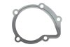 Прокладка помпи води Citroen/Fiat/Hyundai/Lada/Suzuki 1.6-2.0D 82- (opt-om) ELRING 754.044 (фото 1)