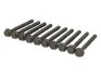Болт головки блоку (компл.) FIAT/LANCIA C1/141C2/146A2/146A4/156A2/56A3/156A4... (вир-во Elring) ELRING 760.720 (фото 1)