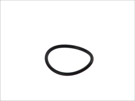 Прокладка термостата VW T4/T5 1.9/2.0 TD/TDI 90-09 (opt-om) ELRING 761.109