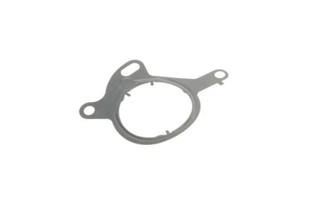 Прокладка насосу вакуумного Ford Transit Connect 1.6 EcoBoost 13- UA63 ELRING 767.120
