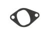 Прокладка колектора впускного BMW 6 (E24)/7 (E23) 2.8-3.2i 75-94, M30 (замінено на 774.660) (opt-om) ELRING 774.669 (фото 2)