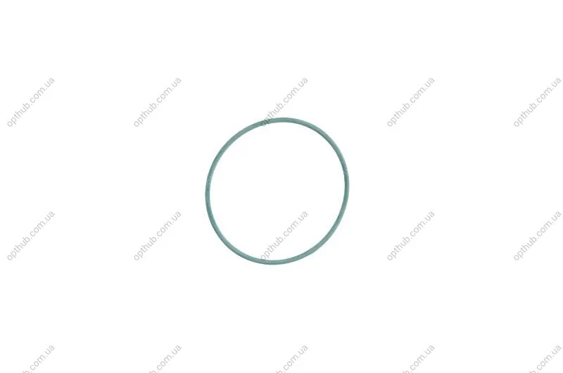 Прокладка насосу вакуумного Audi (53x57x2) (opt-om) ELRING 790.000 (фото 1)