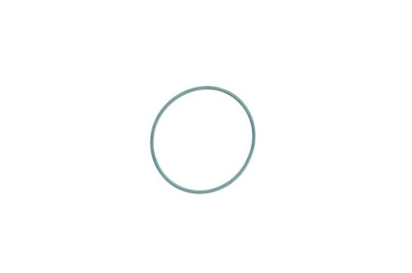 Прокладка насосу вакуумного Audi (53x57x2) (opt-om) ELRING 790.000