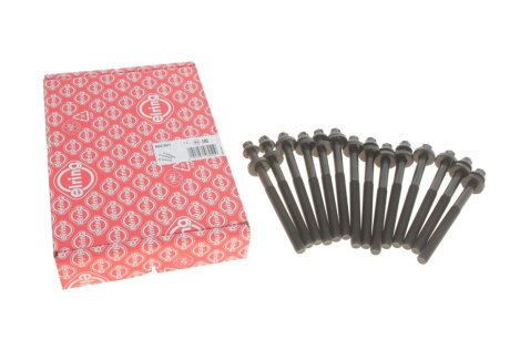 Комплект болтів головки цилідра BMW M51/M57 ELRING 802.801