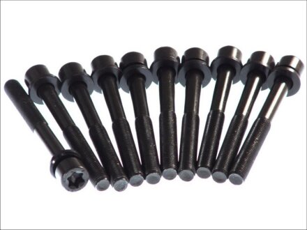 Болт головки блоку (компл.) DAEWOO/CHEVROLET/OPEL X18XE/C18XEL/C20XE/X20XEV/Z24XED ELRING 803.010