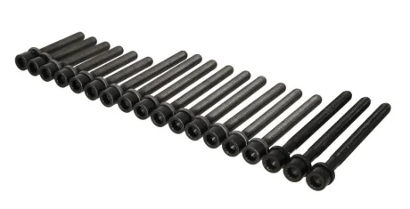 Комплект болтів ГБЦ SEAT TOLEDO II VW BORA, BORA I, GOLF IV, PASSAT B5 2.3 10.96-06.06 ELRING 804.860