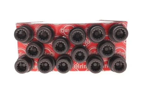 Болт головки блоку (компл.) VW 2.4D/TD DW/1S (6CYL) (вир-во Elring) ELRING 819.891