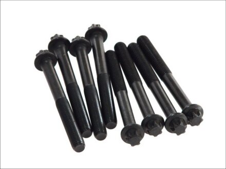 Болт головки блоку циліндра MAN D0824/D0826 (2CYL) ELRING 820.245