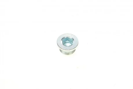 Болт зливу оливи (АКПП) VW Caddy/Golf/Passat/Touran/Seat Leon/Toledo 1.0-2.0TSI/TFSI 05- (M24 (opt-om) ELRING 872.020