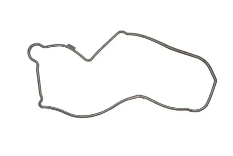 Прокладка, кришка корпусу ГРМ NISSAN 2,5dCi -11 (вир-во Elring) ELRING 902.990
