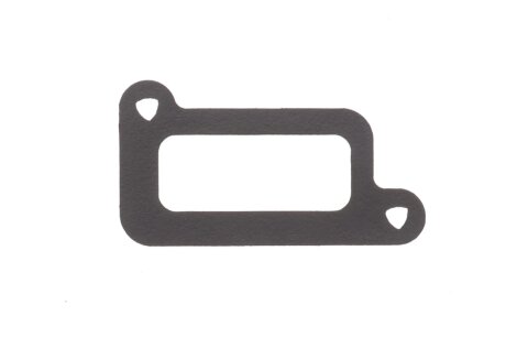 Прокладка системи охолодження ELRING 907.420