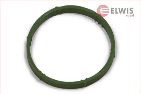 Прокладання впускного колектора Elwis Royal 0256062