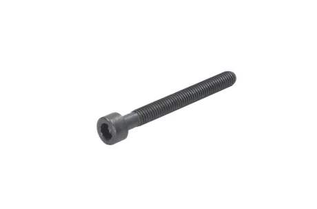 Болт монтажний (x M6 x 55) VW MULTIVAN T5, PHAETON, TOUAREG, TRANSPORTER T5 2.5D/5.0D 10.02-05.10 ENGITECH ENT280101