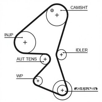 Ремінь ГРМ Berlingo-Partner DV6TED4 С FAP EUROREPAR 1633127080