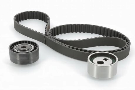 Роликовий модуль натягувача ременя (ролик, ремінь) EUROREPAR E118420