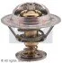 Термостат Lancia Phedra 2.0 jtd (03-10) (7.8323S) Facet FACET 78323S