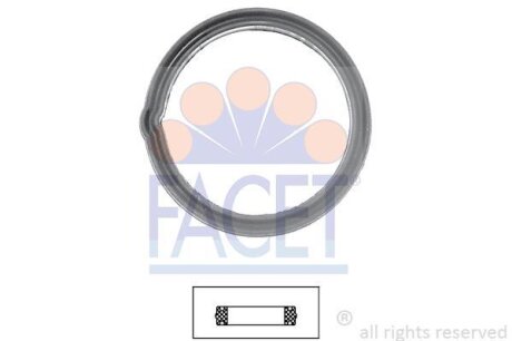 Прокладання термостату Hyundai i10, Getz/KIA Picanto (7.9608) FACET 79608