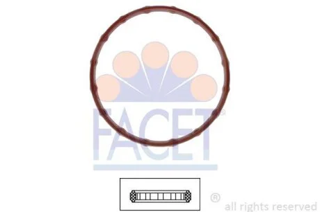 Прокладання термостату FACET 7.9711