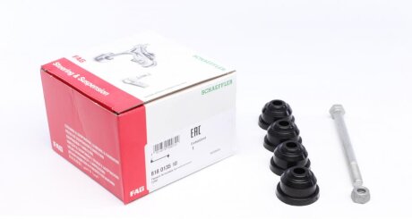 Тяга стабілізатора (заднього) Ford Focus/Mitsubishi Colt 1.1-2.0 98-12 (opt-om) FAG 818 0135 10