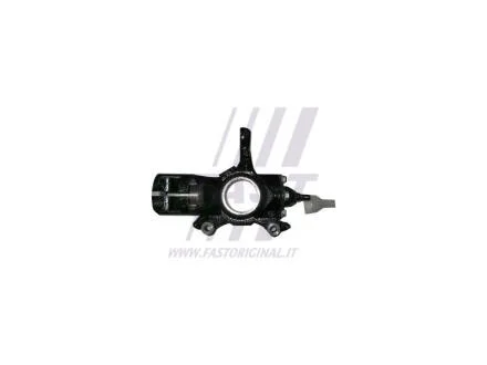 Цапфа перед. Peugeot Boxer /Citroen Jumper /Fiat Ducato (06-) Fast FAST FT13518