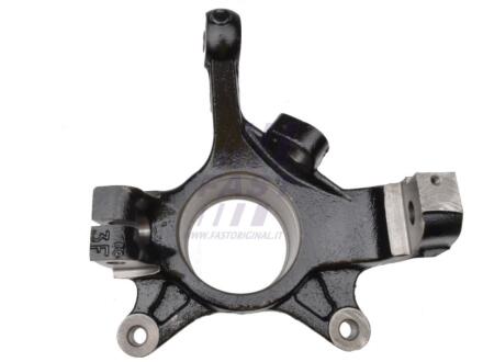 Кулак поворотний лівий R16 D22 Opel Movano / Renault Master II (98-10) FAST FT13519