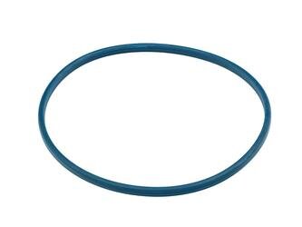 Прокладка Паливого Насосу Fiat Ducato 06> Бак Паливний Ущільнююче Кільце FAST FT48504