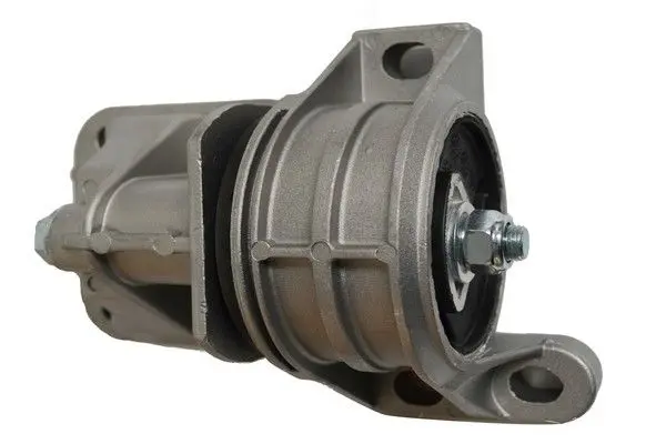 Подушка двигуна задн. Fiat Ducato (01-06) 2.8d (в сборе) Fast FAST FT52484 (фото 1)