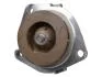 Насос водяний Fiat Bravo II, Doblo, Ducato 1.6D MultiJet, 2.0D MultiJet/Opel Astra H, J, Insignia, Zafira 1.9CDTI/ Fast FAST FT57153 (фото 1)
