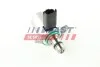 Регулятор давления топлива Citroen Jumper 2.2 HDI (06-) EURO 5 2-PIN Fast FAST FT80121 (фото 1)