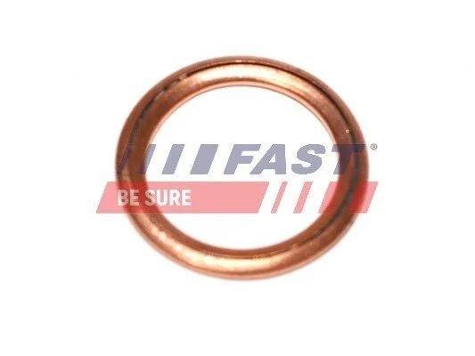 Шайба пробки олії. піддону Renault Master (00-)/Dacia Logan 1.4 (09-)/ Fiat Ducato (06-) 16X22 Fast FAST FT94716 (фото 1)