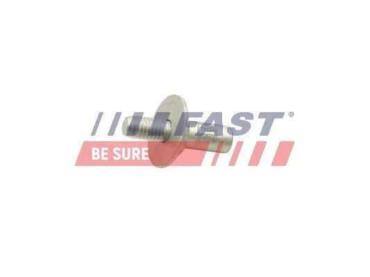 Штифт замка боковой верхний Fiat Ducato (06-, 14-) Fast FAST FT95340 (фото 1)