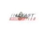 Штифт замка боковой верхний Fiat Ducato (06-, 14-) Fast FAST FT95340 (фото 1)
