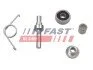 Ролик двери боковой нижний Fiat Ducato (06-)(14-) Fast FAST FT95389 (фото 1)
