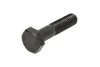 Болт кріплення опори AUDI-VW 60- (Вир-во FEBI) FEBI BILSTEIN 03973 (фото 1)