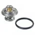 Термостат Mercedes-Benz (пр-во FEBI) FEBI BILSTEIN 09672 (фото 1)